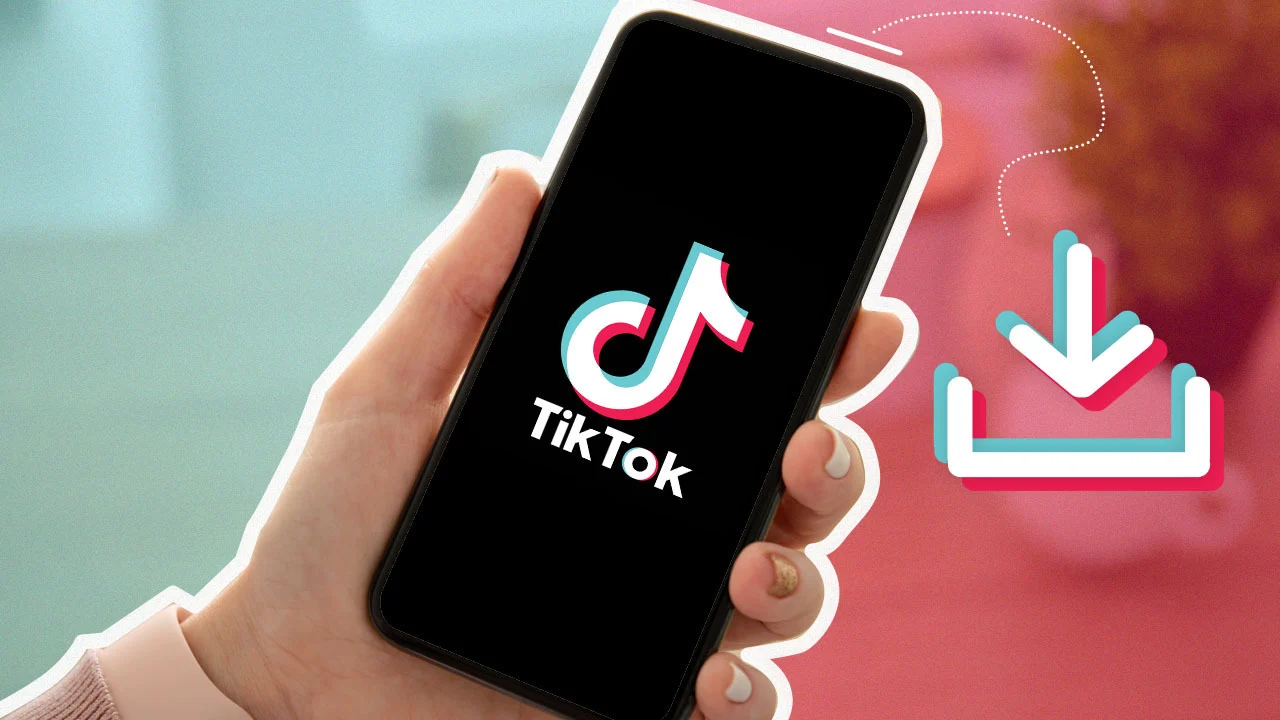TokSave TikTok Downloader Video Photo